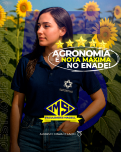 Carrossel_01
