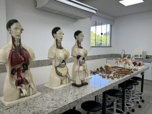 IMG_7522