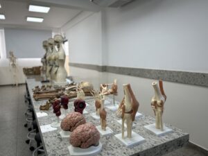 IMG_7525